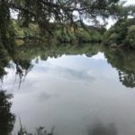 Camping Casa Verde3