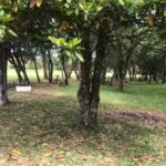 Camping Casa Verde4