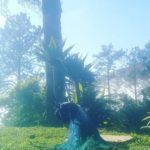 Camping Rancho do Uirá-teresopolis-rj 3