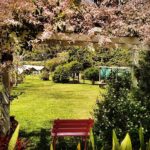 Apoio RV – Fazenda Yrerê – Ilhéus-BA-2