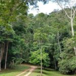 Apoio RV – Parque Nacional de Monte Pascoal 2