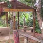 Apoio RV – Parque Nacional de Monte Pascoal 3