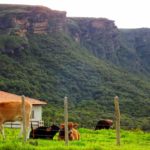 Camping Hostel Pedra do Equilíbrio-Lavras Novas-MG-3