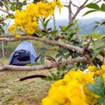 Camping Luau das Montanhas-Ouro Preto-MG-1