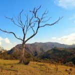 Camping Luau das Montanhas-Ouro Preto-MG-7