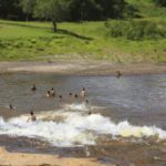 Camping Selvagem – Cachoeira do Bileto – Catas Altas 2