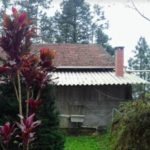 Camping Selvagem – Mirante Serra Paulo Kohler – 7