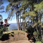Camping Selvagem – Mirante Serra Paulo Kohler – Guabiruba