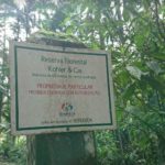 Camping Selvagem – Mirante Serra Paulo Kohler – placa