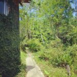 Camping Soluna Veg-florianopolis-sc-7