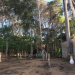 Camping Cactus do Rústico-itacaré-ba-5