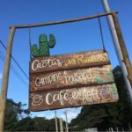 Camping Cactus do Rústico-itacaré-ba-6