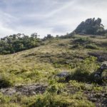 Camping Selvagem – Base Trilha do Pico do Papagaio – Aiuruoca