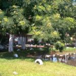 Apoio RV – Pesqueiro Arco Íris – Mogi Mirim