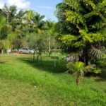 Apoio RV – Pesque e Pague do Agostinho – Caldas Novas-go-4