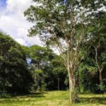 Camping Prainha De Valentim Gentil 7