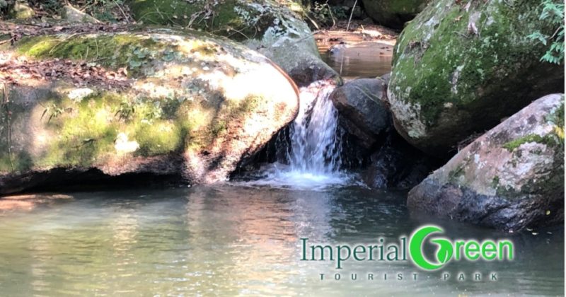 Camping Imperial Green - Tourist Park--Santo Amaro da Imperatriz-SC-9