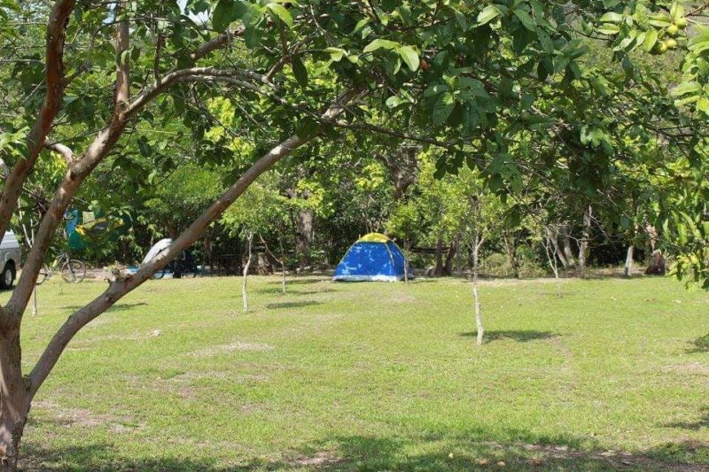 Camping Fazenda Touro Bravo