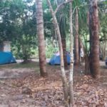 Camping Barro Preto-itauba-mt-macamp-1