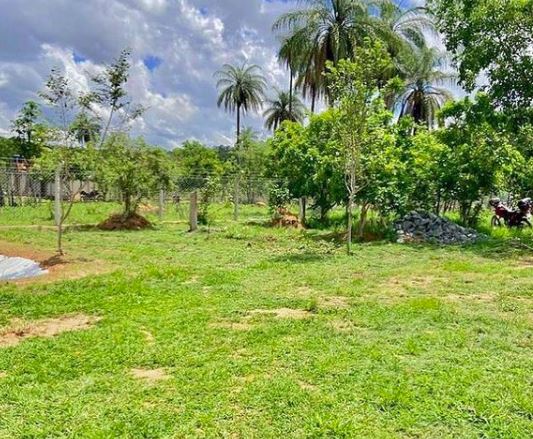 Camping Rio Cipó