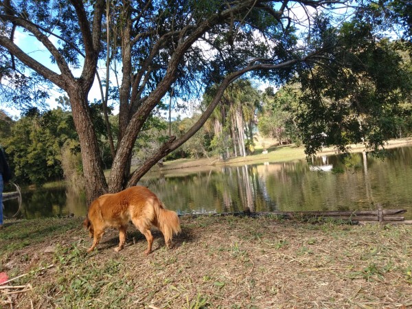Camping Pesqueiro Vô Mário