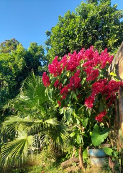 Camping Espaço de Festa e Lazer Dourado