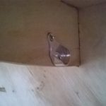 wp_20170515_011-2