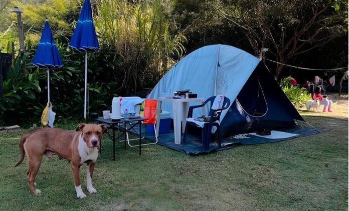 acampamento-havaiano-acontecera-em-mairipora-no-proximo-dia-20-09-macamp-1