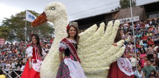 Festa das Rosas e Flores de Barbacena-MG Terá Motorhomes Como Atrativo