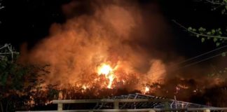 Incêndio Atinge Vegetação no Camping Redondo, em Timburi – SP