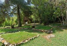 Parque do Itatiaia Inaugura Camping na Parte Baixa, Próximo ao Centro de Visitantes
