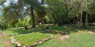 Parque do Itatiaia Inaugura Camping na Parte Baixa, Próximo ao Centro de Visitantes