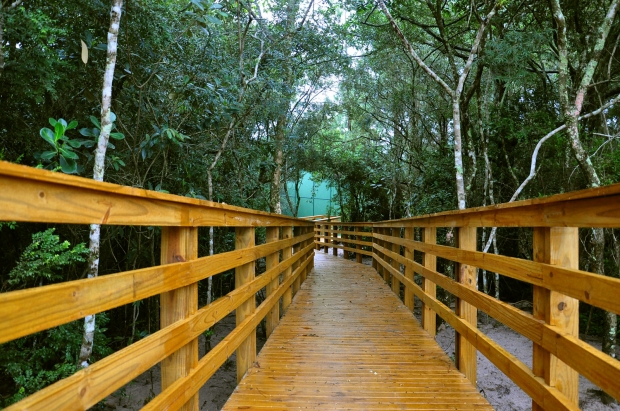 Parque do Rio Vermelho (Florianópolis) Inaugura Trilha Ecológica