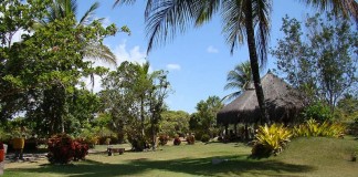 CAMPING DO SIRI: Acampando Nas Festas e nas Férias de Verão.