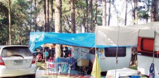 CCB: Festa de Queijos e Vinhos da Serrinha Será em Julho.