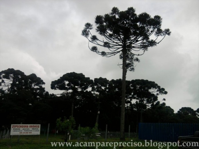Mais uma Acampada