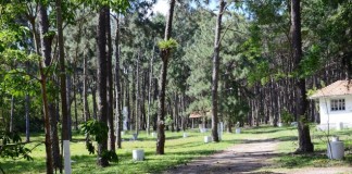 Dica de Camping: Quinta da Barra – RJ